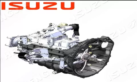 MLD передача